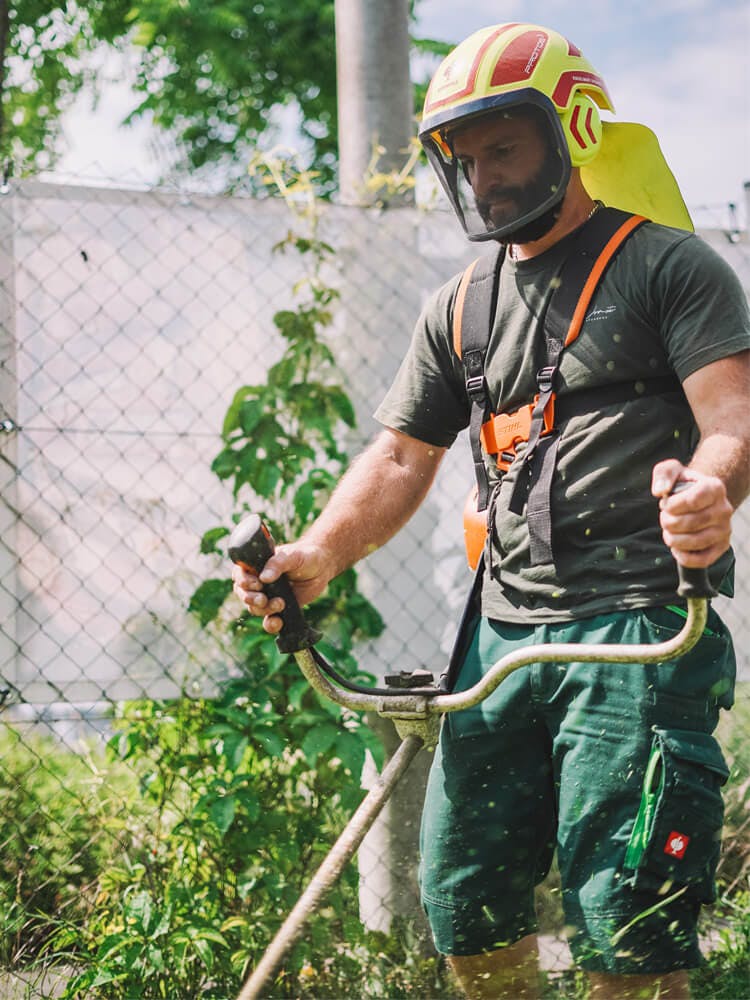 Zuverlässige Gartenpflege für Linz 